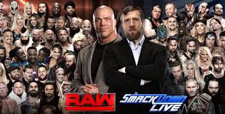 Image result for wwe superstar male and female