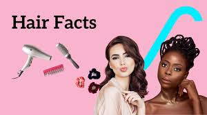 hair facts 50 facts about hairstyles