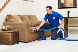 sears carpet upholstery care