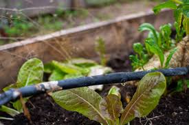 drip irrigation systems for your garden