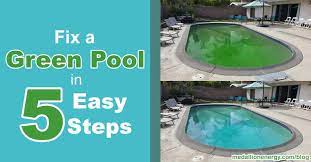 fix a green pool in 5 easy steps get