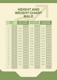 free height and weight chart male