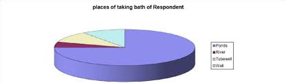Pie Chart Represent Use Of Water For Bath Of Respondents