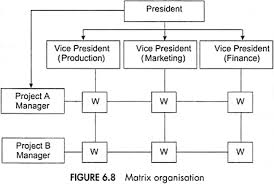 Matrix Organisational Structure Meaning Features