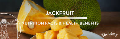 jackfruit nutrition facts health benefits