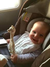 Lap Infant Vs Seat Infant Pros Cons