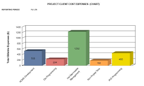 Project Client Cost Expenses Chart