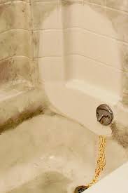 tub cleaner ile ilgili görsel sonucu