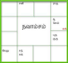 Generate Birth Horoscope Tamil Jathagam Tamil Birth