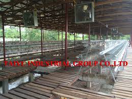 Poultry farming in nigeria is already and established and profitable business idea. Taiyu Chicken Egg Layer House Design Buy Chicken Egg Layer House Design Chicken Egg Layer House Design Chicken Egg Layer House Design Product On Alibaba Com