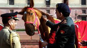 horse sense indian army s