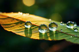 ai generative beautiful water drops