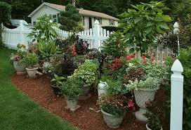 15 planter garden ideas to decorate