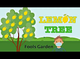 lemon tree animation with s you