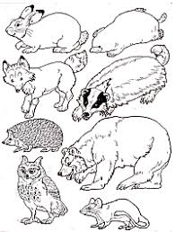 Feel free to print and color from the best 40+ mandala coloring pages pdf at getcolorings.com. Put The Animals In The Mitten