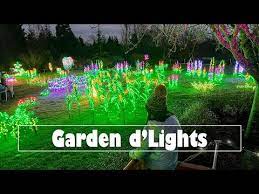garden d lights bellevue botanical