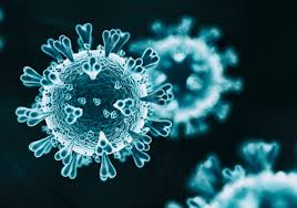 The structure of a virus and how it infects a cell. Scientists Compare Novel Coronavirus With Sars And Mers Viruses The Scientist Magazine