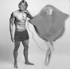 In 2006, steve irwin was killed by stingray in the waters off australia while filming. Sexy Steve Irwin Stingray Costume Pulled From Shelves The Chicago Shady Dealer