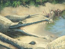 Un cocodrilo del Jurásico, identificado 250 años después de su hallazgo