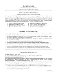               Ireland s Leading Professional CV Service   CV      Senior Manager CV
