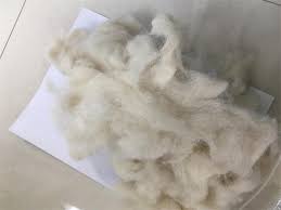 sr wool noils at rs 60 kg in ludhiana