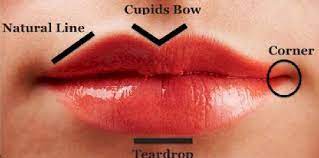 see what the shape of your lips says