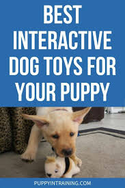 8 best interactive dog toys for your puppy