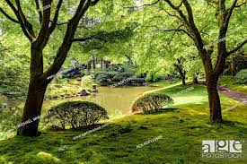 nitobe memorial garden traditional