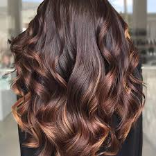 Glossy, dark brown hair shade that almost seems like a polished wood is the best bet someone looking for an understated yet elegant hair colour. Honey Highlights 35 Gorgeous Color Ideas To Try In 2021 Hair Com By L Oreal