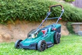 when to dethatch lawn 7 vital tips to