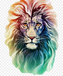 lion drawing png 771 1072