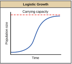 exponential growth logistic growth