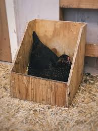 en nesting box size