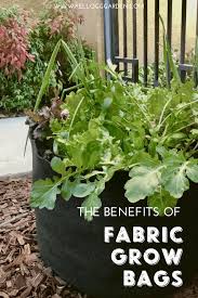 Fabric Grow Bags For Container