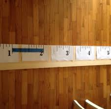 Diy Ruler Growth Chart Tutorial With Printable Fink