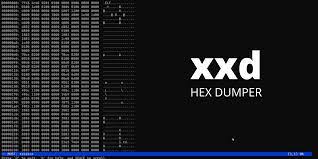 How to Use the xxd Hex Dumper Utility in Linux