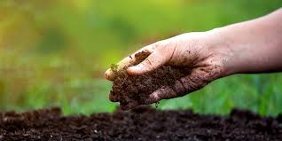 The Best Tips To Prepare Garden Soil