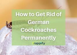 german roaches permanently