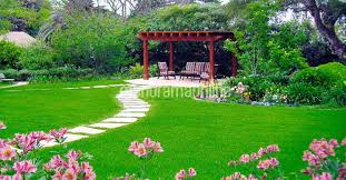 I'm working on my dingy back yard at the moment so i figure it'll be lots of moss and ferns for me! Landscaping Enhances Beauty Of Your Home Know These Vital Factors Lifestyle Decor English Manorama