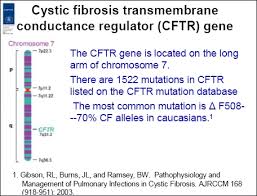 nutrition in the cystic fibrosis