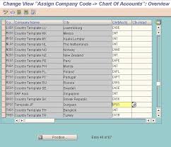 How To Create New Chart Of Accounts In Sap Organized Country