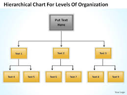 Company Structure Flow Chart Hierarchical For Levels Of