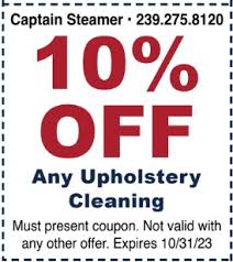 professional steam cleaner specials