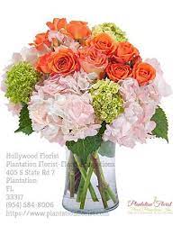 Maybe you would like to learn more about one of these? Best Florist In Hollywood Broward County Florida