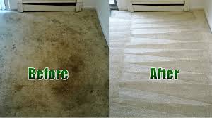 carpet cleaning carpet steam cleaning