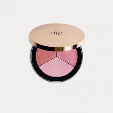 blush palette luxury makeup