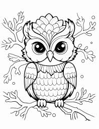 baby owl coloring pages pictures