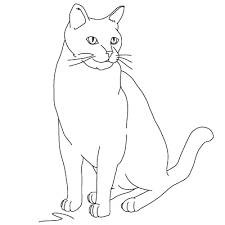 I try to draw this in a fashion where anyone can draw it. How To Draw A Cat 9 Steps Instructables