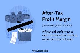 after tax profit margin definition