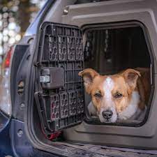 The Best Dog Crates For Car Travel 2023